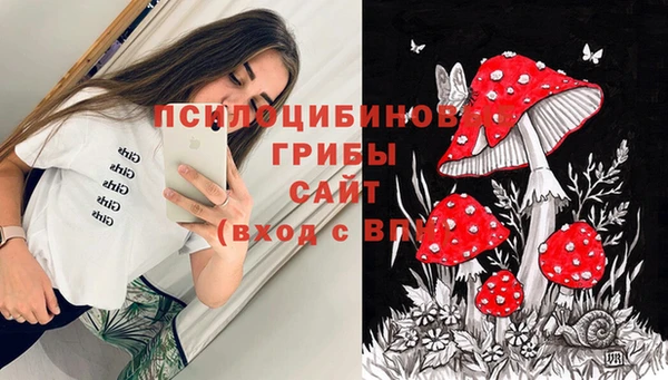 шишки Алексин