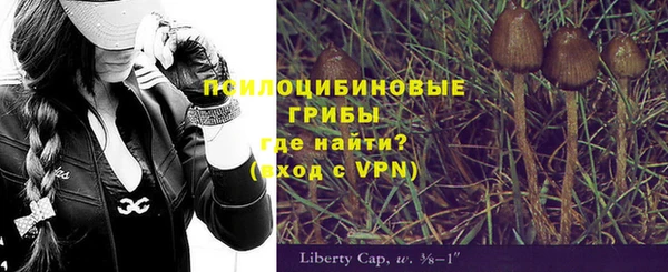 2c-b Алексеевка