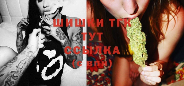 шишки Алексин