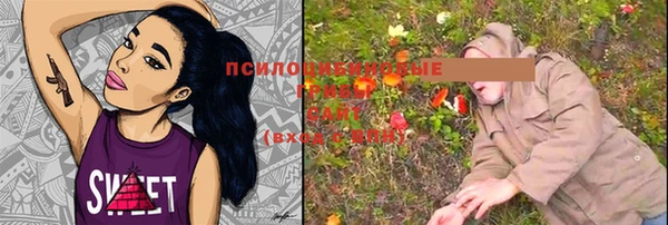 шишки Алексин