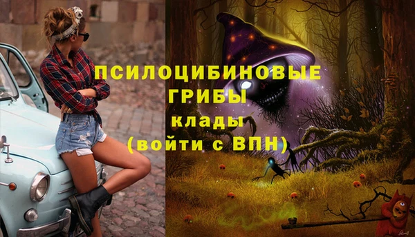 Альфа ПВП Алзамай